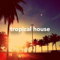 Artwork for Tropical House by Ibiza Lounge