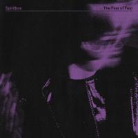 Artwork for The Fear of Fear by Spiritbox