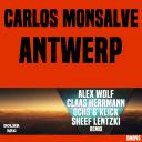 Artwork for Antwerp (Alex Wolf, Claas Herrmann Remix)
