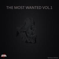 Artwork for The Most Wanted, Vol. 1 by Various Artists