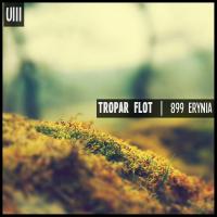 Artwork for 899 Erynia by Tropar Flot