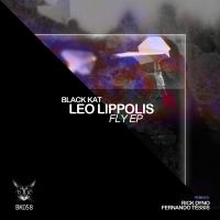 Artwork for Fly E.p by Leo Lippolis 