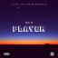Artwork for Player