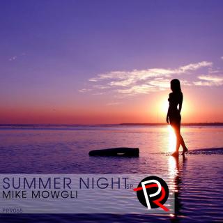 Artwork for Summer Night (Original Mix)