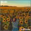 Artwork for Sunflower (Original Mix)