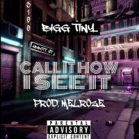 Artwork for Call It How I See It by Bigg Tiny