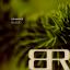 Artwork for Storm (Original Mix)