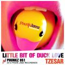 Artwork for Little Bit Of Duck Love (Original Mix)