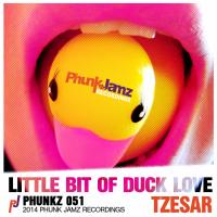 Artwork for Little Bit Of Duck Love by Tzesar