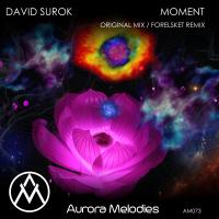 Artwork for Moment by David Surok