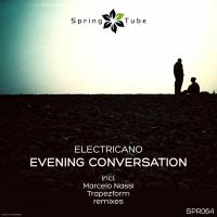 Artwork for Evening Conversation by Electricano