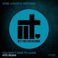 Artwork for You Don't Have To Leave by Sebb Junior