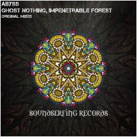 Artwork for Ghost Nothing / Impenetrable Forest by Abyss