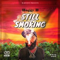 Artwork for Still Smoking by Hoggy D