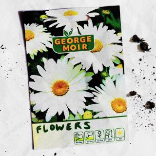 Artwork for Flowers