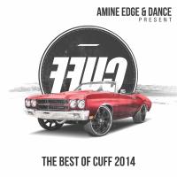 Artwork for Amine Edge & DANCE present FFUC, Vol. 1 (The Best Of 2014) by Various Artists