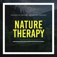 Artwork for Nature Therapy by Sounds Of Nature