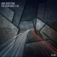 Artwork for You Know What 2 Do by Vibe Injection