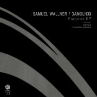 Artwork for Pacotize EP by Samuel Wallner