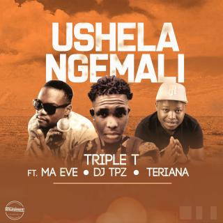 Artwork for Ushela Ngemali 
