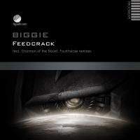 Artwork for Feedcrack by Biggie