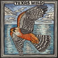 Artwork for Possum Kingdom by Ryan Bingham
