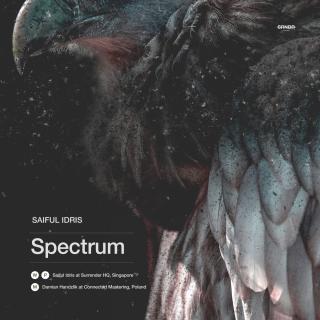 Artwork for Spectrum (Original Mix)