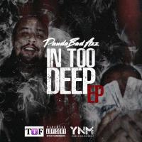 Artwork for In Too Deep by Panda Badazz