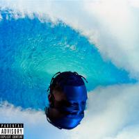 Artwork for SURF OR DROWN by Hit-Boy