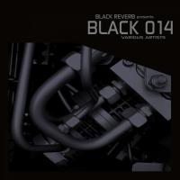 Artwork for Black 014 by Various Artists