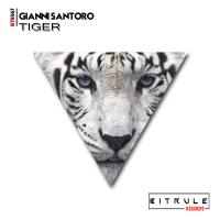 Artwork for Tiger by Gianni Santoro