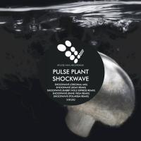 Artwork for Shockwave by Pulse Plant