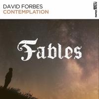 Artwork for Contemplation by David Forbes