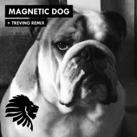 Artwork for Magnetic Dog by Alan Fitzpatrick