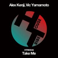 Artwork for Take Me by Alex Kenji