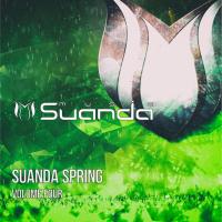 Artwork for Suanda Spring, Vol. 4 by Various Artists