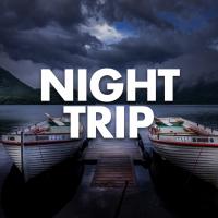 Artwork for Night Trip by Chill Out