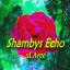 Artwork for Shambys Echo