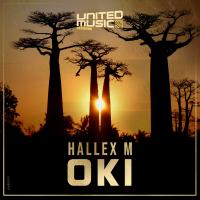 Artwork for Oki by Hallex M