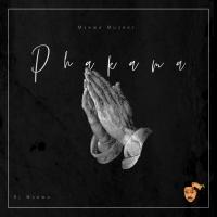 Artwork for Phakama by DJ Msewa