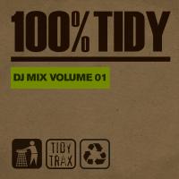 Artwork for 100% Tidy, Vol. 1 by Various Artists