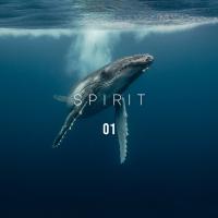 Artwork for Spirit 01 by Nature Sounds Nature Music