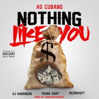 Artwork for Nothing Like You (feat. Dj Habanero, Young Dant & Beenhadit) by AG Cubano