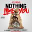 Artwork for Nothing Like You (feat. Dj Habanero, Young Dant & Beenhadit)