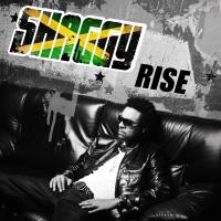 Artwork for Rise by Shaggy