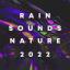 Artwork for Afternoon Rain