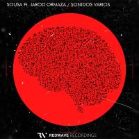 Artwork for Sonidos Varios by Sousa_