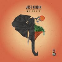 Artwork for Wildlife by Just Kiddin