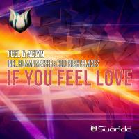 Artwork for If You Feel Love by feel