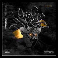 Artwork for Mind Blowing by Frank Lievens